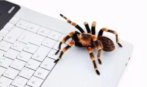 在网站优化时如何让蜘蛛来爬行自己的网站？